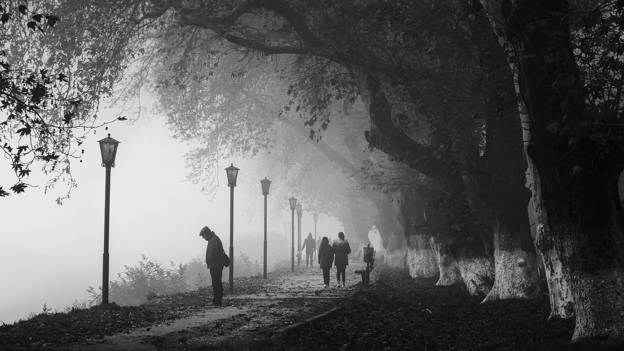 Pessoa caminhando em parque arborizado em um dia claro