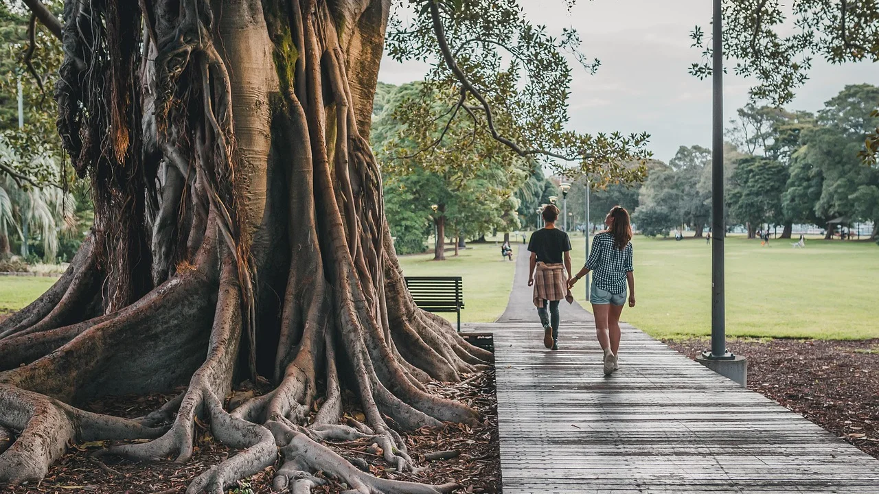 Caminhante usa calçado confortável em trajeto ao ar livre