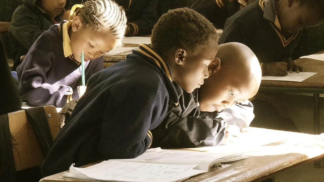 Portfólio reúne produções e registros do percurso infantil.