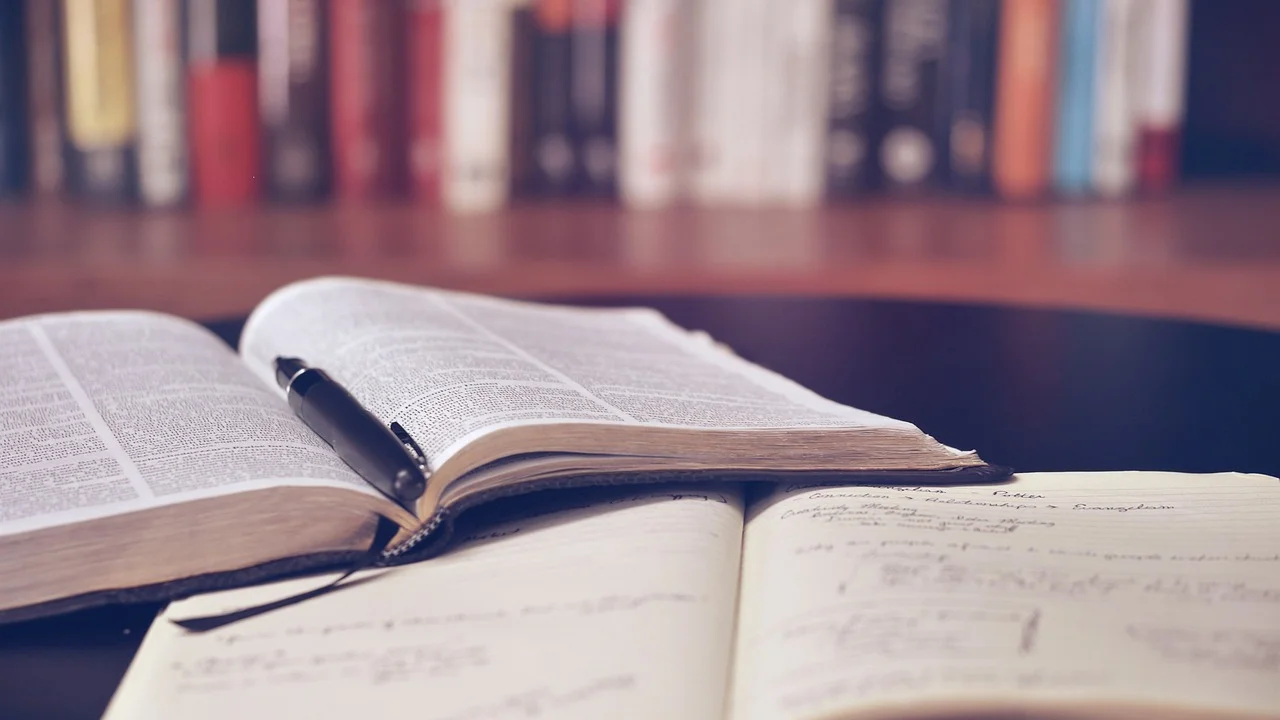 Estudante organiza referências para um trabalho acadêmico