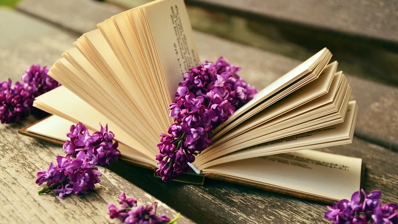 Biblioteca com livros de gramática e literatura brasileira.