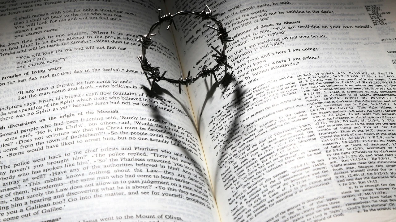 Momento de reflexão silenciosa com livro e luz natural.
