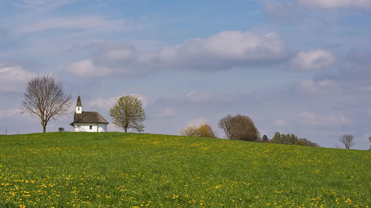 Paisagem rural com áreas de vegetação preservada