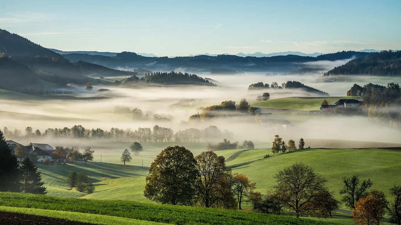 Área rural vista de cima com vegetação e lavoura