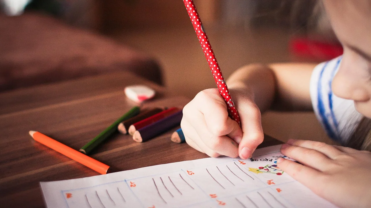 Materiais escolares organizados para uma rotina de estudos