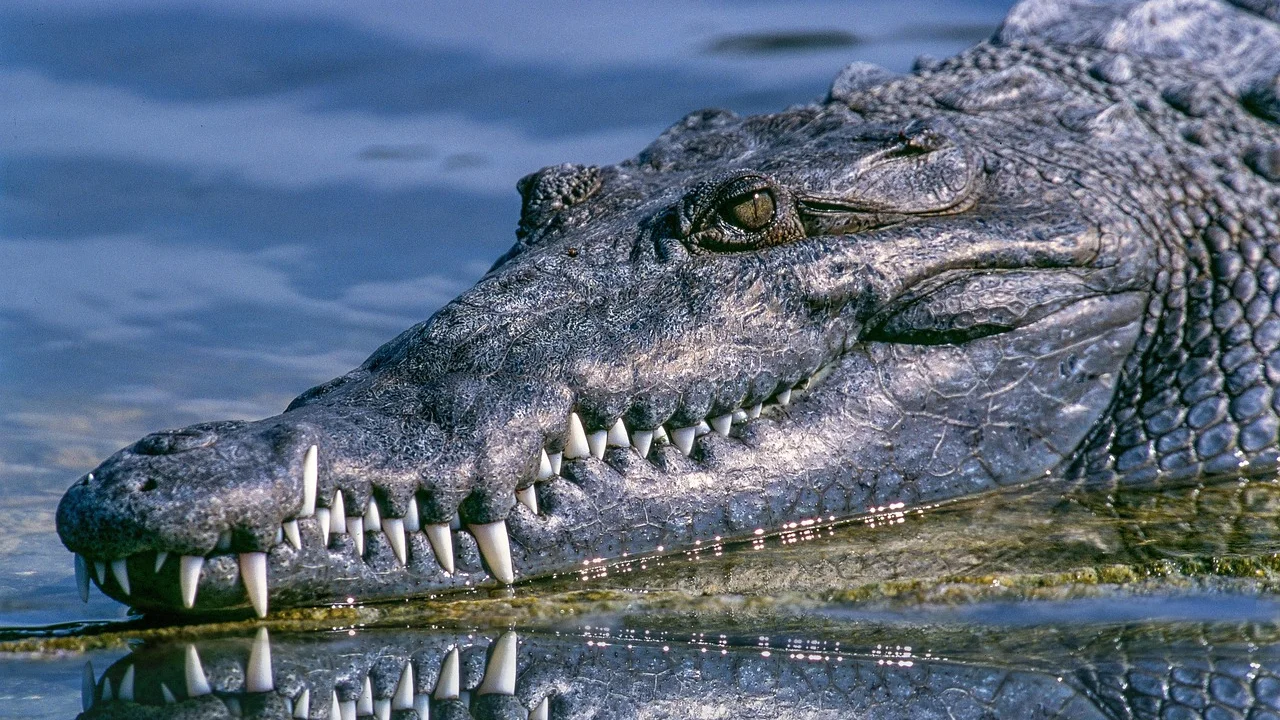 Pessoa refletindo após acordar de um sonho marcante.