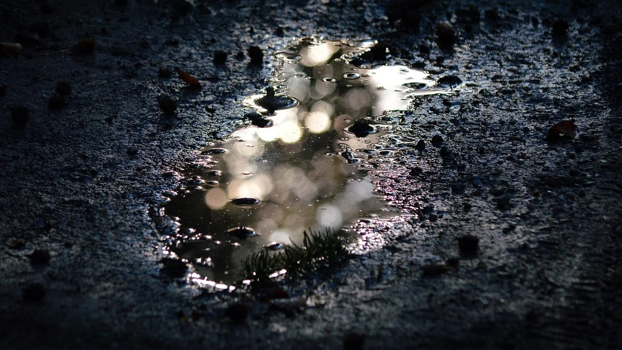Pegadas em uma trilha de terra molhada após a chuva.