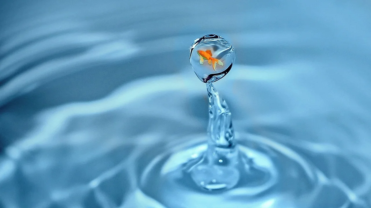 Aquário com peixes coloridos em movimento
